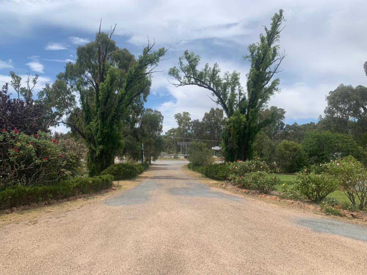 Newell Motor Inn Narrandera Exteriér fotografie