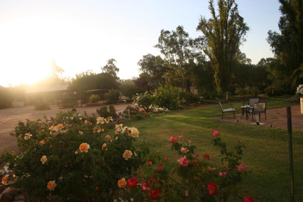 Newell Motor Inn Narrandera Exteriér fotografie