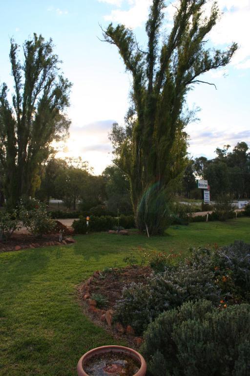 Newell Motor Inn Narrandera Exteriér fotografie